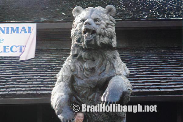 BradHollibaugh.org Big Brad scaled-93ZOO01-standard-scale-4_00x.jpg custom text